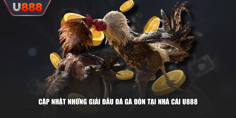 Trải Nghiệm Đá Gà Đòn Những Trận Đấu Đỉnh Cao Nảy Lửa 4 Cập nhật những giải đấu đá gà đòn tại nhà cái U888