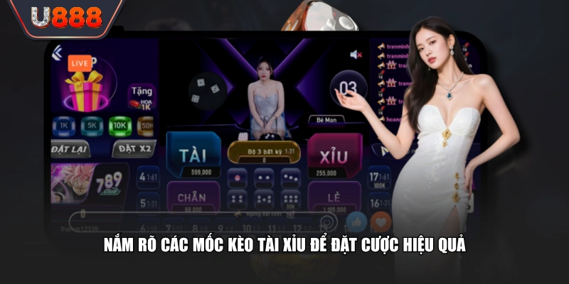 Cách Chơi Kèo Tài Xỉu Và Bí Quyết Tối Ưu Mức Thưởng Nhận 3 Nắm rõ các mốc kèo Tài Xỉu để đặt cược hiệu quả