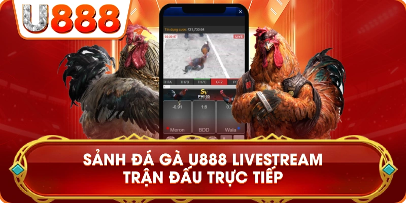 sanh_da_ga_u888_livestream_truc_tiep
